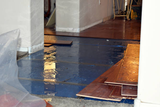 Professional Basement Flood Cleanup technician working in Decatur, TX